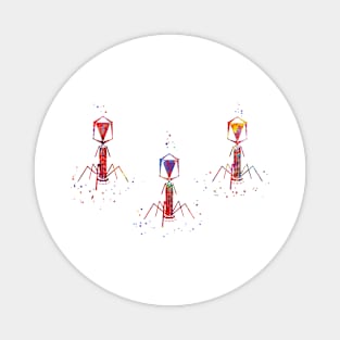 Bacteriophage virus, Magnet